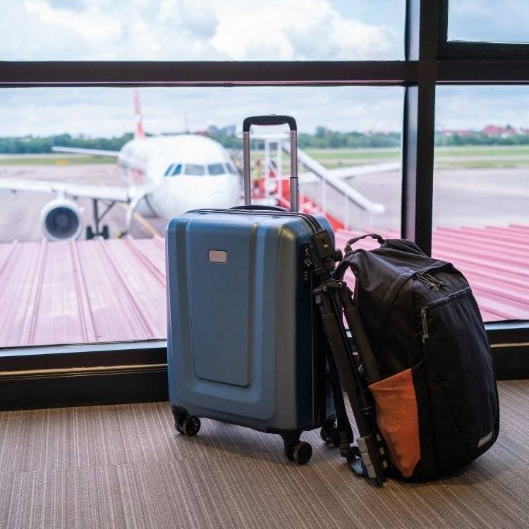 Modern buses and cars for Umrah transport across major cities